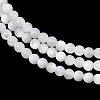 Natural White Shell Beads Strands G-A177-04-25-6