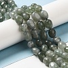 Natural Malaysia Jade Beads Strands G-I283-H09-02-2