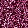 FGB 11/0 Grade A Glass Seed Beads X-SEED-S030-1211-2