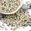 Baking Painted Glass Seed Beads SEED-C004-03B-1