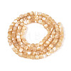 Natural Trochid Shell/Trochus Shell Beads Strands SSHEL-N041-04B-02-2