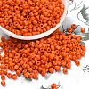 6/0 Glass Seed Beads X2-SEED-A010-4mm-50-1