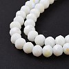 Electroplate Opaque Solid Color Glass Beads Strands LS-EGLA-A034-P1mm-L17-4