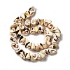 Natural Sea Shell Beads Strands BSHE-E026-14-2