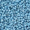 Opaque Glass Seed Beads SEED-S023-01B-03-2