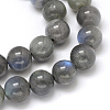 Natural Labradorite Round Bead Strands G-O087-05-12mm-2