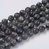 Natural Larvikite Beads Strands G-G542-6mm-27-1