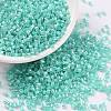 Cylinder Seed Beads SEED-H001-E05-1