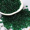 Transparent Colours Glass Seed Beads X1-SEED-P006-02A-09-1
