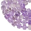 Natural Lavender Amethyst Beads Strands G-G453-G13-7x12mm-4
