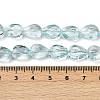 Transparent Glass Beads Strands GLAA-H038-03C-4