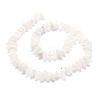 Natural Rainbow Moonstone Beads Strands G-E569-J15-2