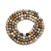 Natural Alashan Agate Beads Strands G-C181-B05-02-3