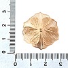 Brass Bead Caps KK-C167-03J-G-3