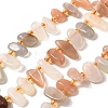 Natural Moonstone Beads Strands G-Z091-A14-2