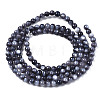 Natural Freshwater Shell Beads Strands X-BSHE-T009A-01L-3