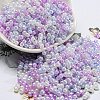 Glass Seed Beads SEED-K009-02B-22-1