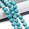 Dyed Natural Magnesite Beads Strands G-P558-A01-01B-2