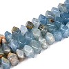Natural Blue Calcite Beads Strands G-D091-A30-4