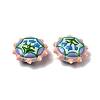 Baking Paint Glass Enamel Beads LAMP-K039-34J-3