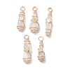 5Pcs 5 Styles Electroplated Natural Quartz Crystal Copper Wire Wrapped Pendants PALLOY-JF03427-1