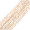 Natural Cultured Freshwater Pearl Beads Strands PEAR-I007-02G-01-2