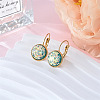 Flat Round 201 Stainless Steel Natural Shell Leverback Earrings FS-WG6391F-10-1