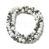 Electroplate Glass Faceted Rondelle Beads Strands EGLA-D020-8x5mm-M3-2