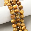 Natural Tiger Eye Beads Strands G-G544-12mm-01-6