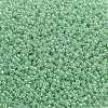 TOHO Round Seed Beads X-SEED-TR11-0144-2