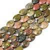 Natural Unakite Beads Strands G-H349-A01-04-2