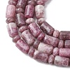 Natural Lepidolite/Purple Mica Stone Beads Strands G-H343-B01-01-4