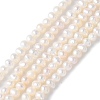 Natural Cultured Freshwater Pearl Beads Strands PEAR-I007-07K-04-2