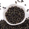 Glass Seed Beads SEED-A032-06R-2