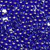 Glass Seed Beads SEED-H002-C-A048-3