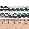Baking Paint Transparent Glass Beads Strands DGLA-N011-8mm-07-4