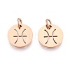304 Stainless Steel Charms STAS-Q201-T445-12R-1