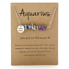 667 Stainless Steel with Natural Amethyst & Natural Dalmatian Jasper & Natural Sodalite Chip Pendant Necklaces FS-WGFED6E-10-1