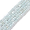 Natural Amazonite Bead Strands G-A129-2mm-20-1