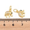 Brass Micro Pave Clear Cubic Zirconia Charms KK-H292-56A-G-3