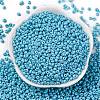 8/0 Baking Paint Glass Seed Beads SEED-M012-02A-46-2