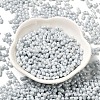 Opaque Colours Luster Glass Seed Beads SEED-B001-01A-09-2