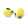 Alloy Enamel Pendants ENAM-K076-24B-01-2
