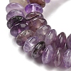 Natural Amethyst Beads Strands G-Z030-A13-01-3
