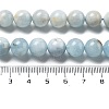 Natural Aquamarine Beads Strands G-R446-10mm-05-01-3