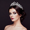 Stainless Steel Rhinestone Hair Bands for Women OHAR-WH0039-18-5