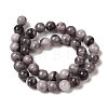 Natural Gemstone Beads Strands G-H067-A01-10MM-3