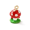 Alloy Enamel Pendants AL-CBA02ED-03G-B-2