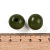 Painted Natural Wood Beads WOOD-A018-16mm-06-3