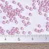 MIYUKI Round Rocailles Beads X-SEED-G007-RR1349-4